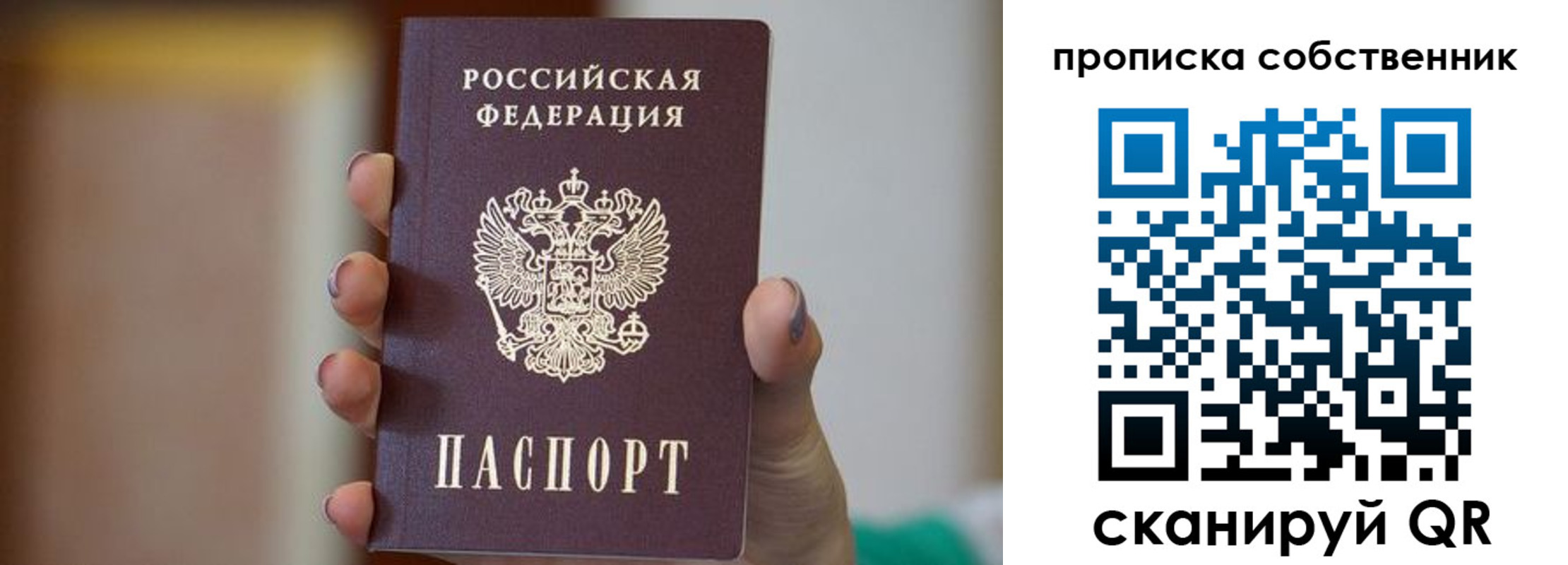прописка поиск в Могочи